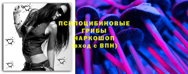хмурый Аркадак