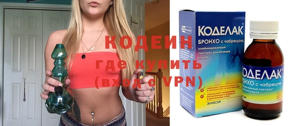 хмурый Аркадак
