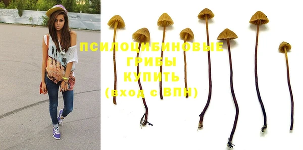 а пвп мука Армянск