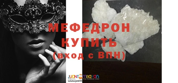 хмурый Аркадак
