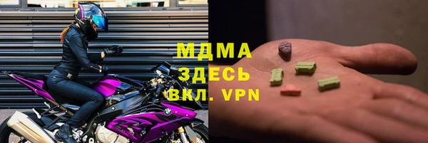 хмурый Аркадак