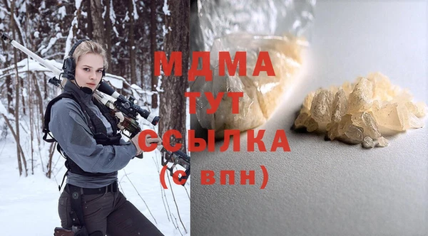 хмурый Аркадак