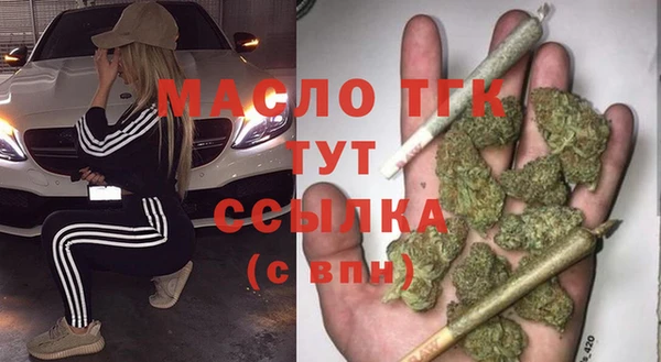 хмурый Аркадак