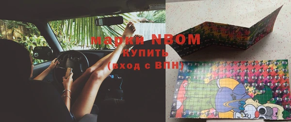 хмурый Аркадак