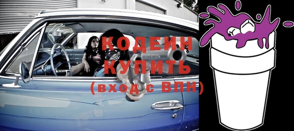 хмурый Аркадак
