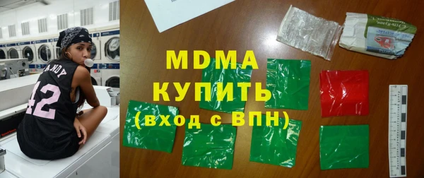 хмурый Аркадак